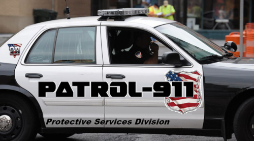 Protective Shield Security Image